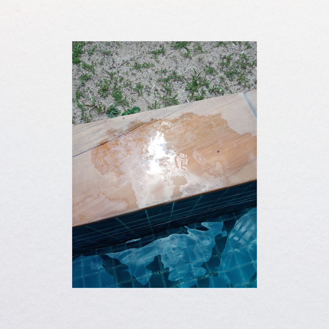 Boucles d'oreilles Fireflies "covid swim"