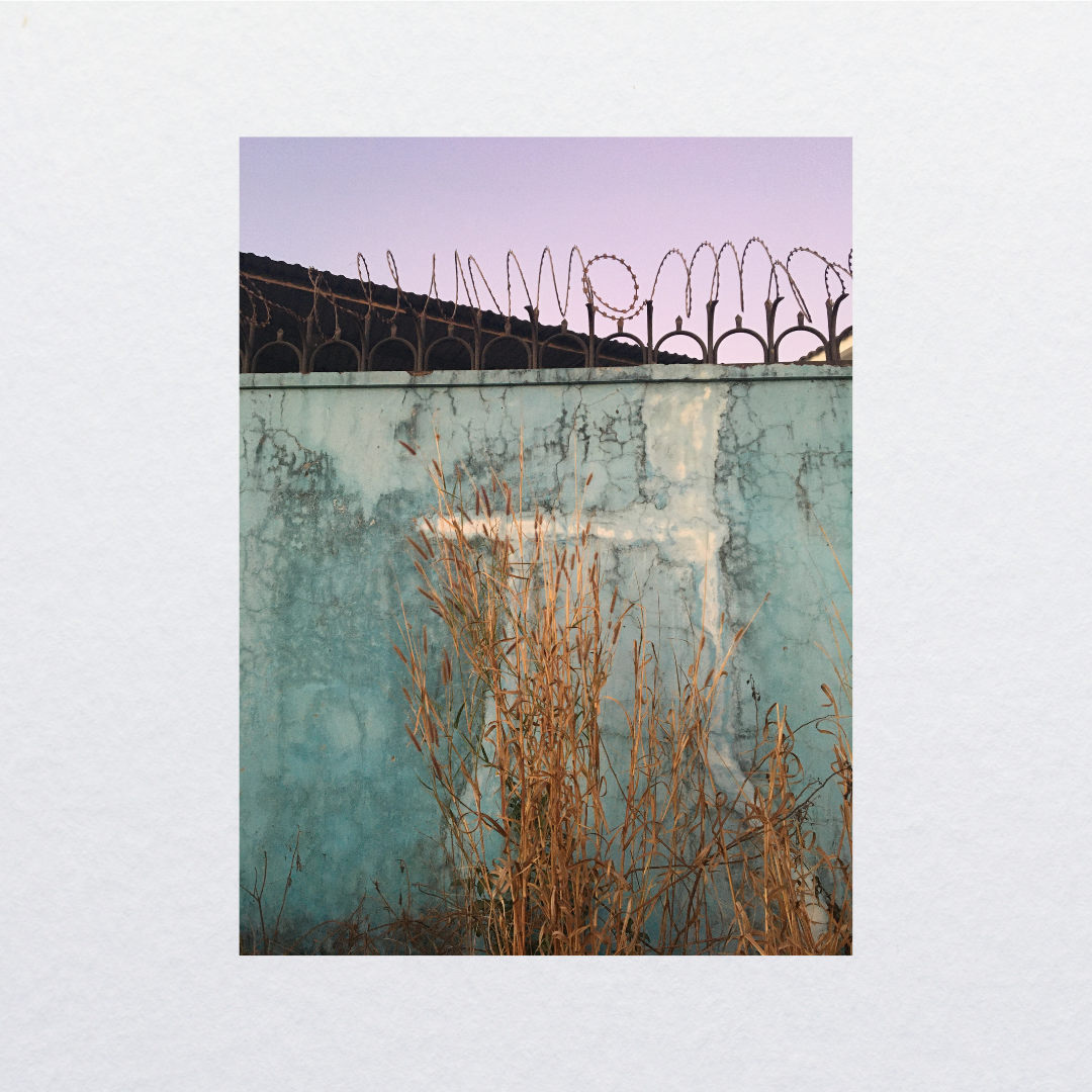 Boucles d'oreilles Fireflies "blé barbelé"